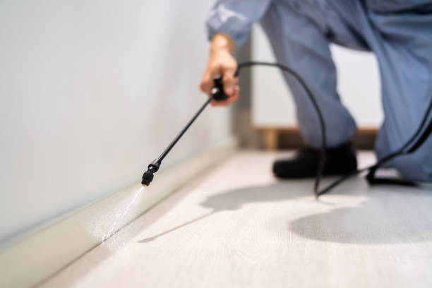 Licensed Pest Control service in Rock Hill, NY - Show Me Pest Control